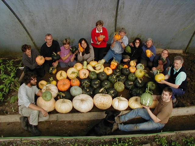 growing together