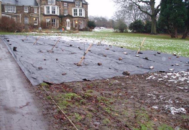 Organicide at Unstone