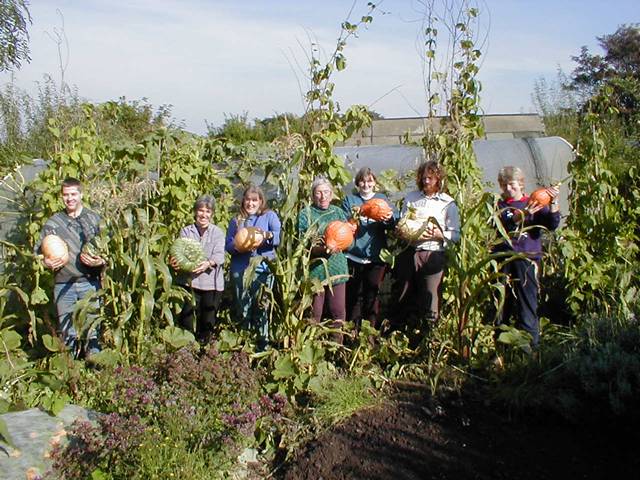 sofi allotmenteers